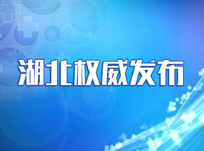 武汉公布新型冠状病毒感染的肺炎疫情防控暂行办法