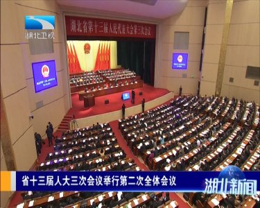 湖北省十三届人大三次会议举行第二次全体会议