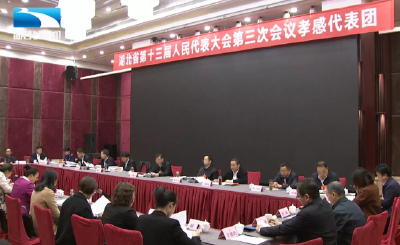 赵娜代表：加强省级统筹 化解贫困山区“大班额”问题