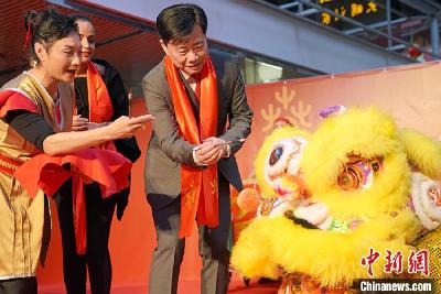 “欢乐春节”登陆德国柏林  系列活动年味浓郁