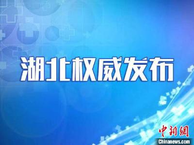 湖北设立权威发布平台 及时回应关切、澄清谣言
