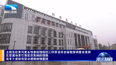 V视 | 王晓东赴黄冈黄石检查疫情防控工作并召开全省视频调度会强调 压实属地责任落实应急响应措施 筑牢三道防线坚决遏制疫情
