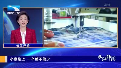2020年1月16日湖北新闻整段
