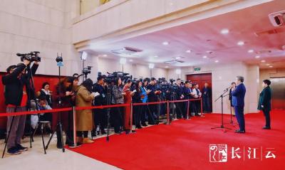 呼吁罗田通高铁、讲述长江大保护“第一爆”……湖北两会首次“代表通道”来了！