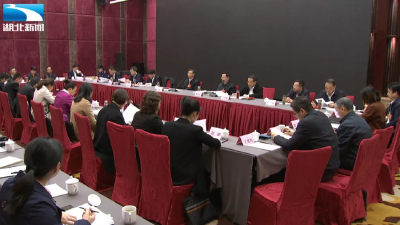 周先来代表：对标对表 九条措施中找孝感位置   