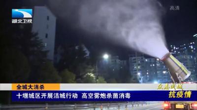 湖北省大消杀！湖北打响反击战