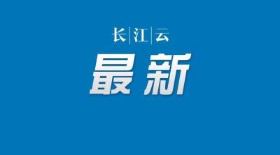 湖北：对符合条件的人员发放“绿码”作返岗通行证明