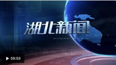 2020年2月18日湖北新闻整段
