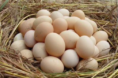 每吨补贴250元！湖北实施鲜蛋收储补贴政策稳产保供惠民生