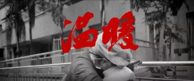 他的工作笔记，就像一本30年重大疫情回忆录、诊治录
