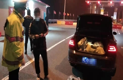 竹山县警方连破两起非法狩猎案