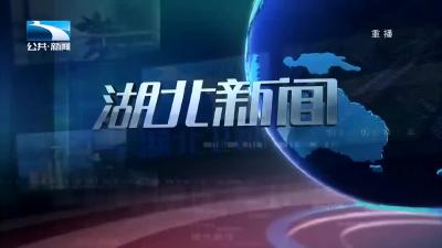 2020年2月25日湖北新闻整段
