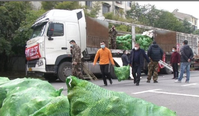 自购蔬菜 自筹油费 四川合江30吨爱心菜驰援武汉