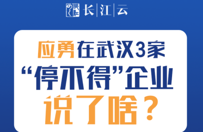 图解 | 应勇在武汉3家“停不得”企业说了啥？ 