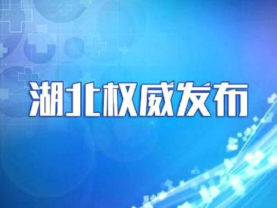 湖北成立调查组彻查刑释新冠肺炎确诊人员离汉抵京问题