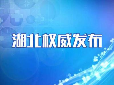 湖北省人民政府关于进一步强化新冠肺炎疫情防控的通告