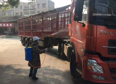 中储粮宜昌公司：保供销售玉米支援饲料加工企业原粮需求