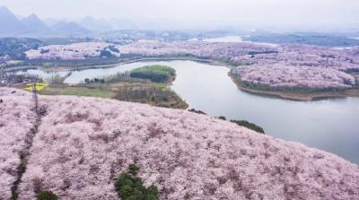 今日春分，芳菲万里，等你相遇