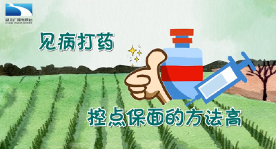 湖北省春季农作物病虫害快速流行进入防控关键期