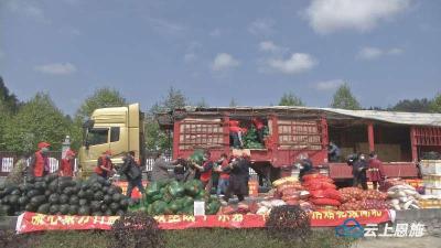 广东省61名驻村第一书记为咸丰捐赠84.5吨生活物资