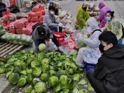 武汉日均投放20万份特价蔬菜包，人力告急！紧急启动第二轮志愿者招募