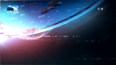 2020年3月14日湖北新闻整段