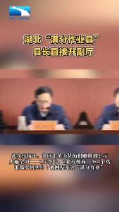 湖北防疫“满分作业县”县长拟获晋升
