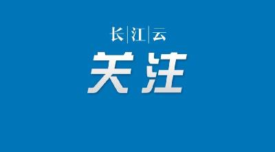 最新通告：湖北中、低风险地区持绿码人员，全省通行！
