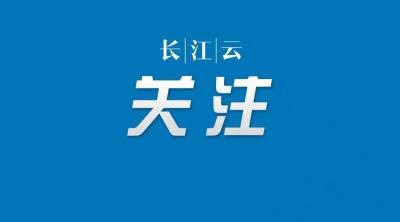 今起至4月底，武汉每天举办近20场网上专场招聘活动