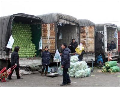 宜都市为城市居民免费发放5.4万个蔬菜“礼包”