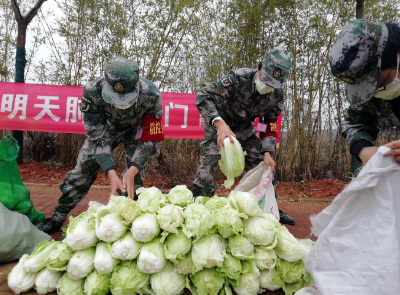 咸宁：贴心！下沉干部帮肖桥村菜农销菜获点赞