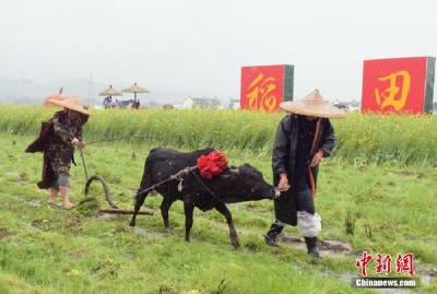 荐读 | 春分习俗知多少？流行“竖蛋”游戏 校对度量衡器具