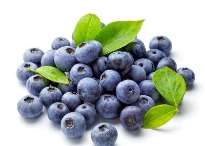 如何选蓝莓：白霜越多 蓝莓越新鲜