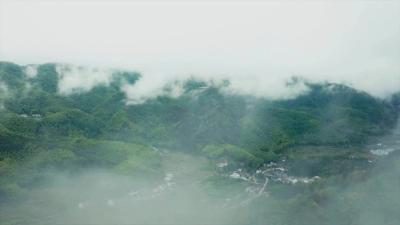 《乡村清洁》宣传片 | 村庄清洁行动 从我做起