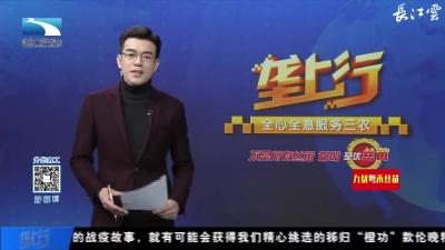 我的战疫日记 | 记者，记着武汉这76天

