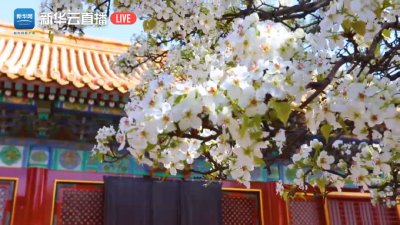 2020年故宫的首次直播，火了！