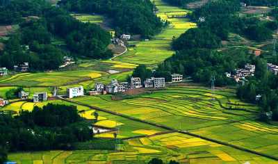 定了！湖北一市落实2.5天休息制