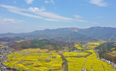 限流、AR眼镜测温…为了五一假期，各地景区拼了
