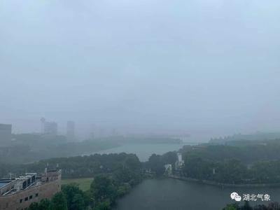 新一轮大到暴雨上线！湖北这些地方雨势较强！