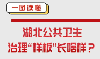 一图读懂｜湖北公共卫生治理“样板”长啥样？