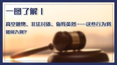 一图了解丨高空抛物、非法讨债、侮辱英烈……这些行为将如何入刑？