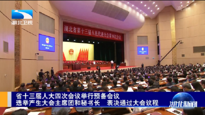 湖北省十三届人大四次会议举行预备会议 选举产生大会主席团和秘书长 表决通过大会议程