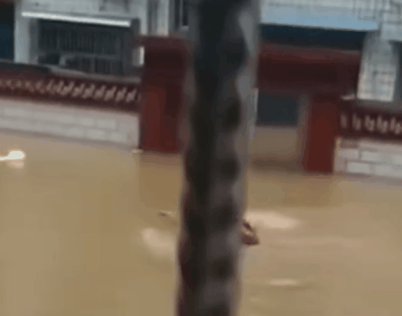 暴雨洪水中的这些动作，帅！