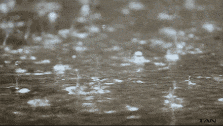 湖北发布暴雨红色预警！你熟悉的“坨子雨”要回来了