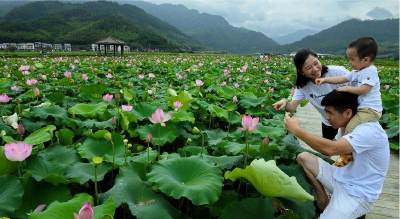 文旅部出举措推乡村游 多地恢复跨省游