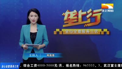 稳妥处理“四个关系”  坚决打好长江流域禁捕退捕攻坚战持久战