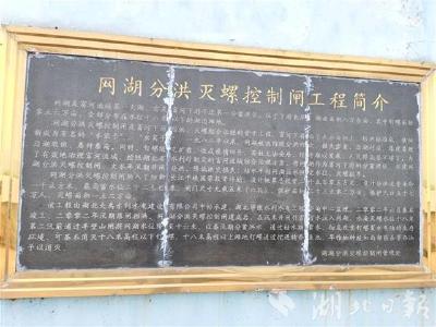 湖北阳新防汛应急响应升至Ⅰ级 富河已超1998年历史最高水位 