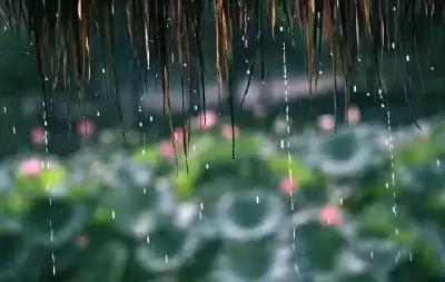 湖北92%的站点出现暴雨 今年梅雨季咋成了“梅超疯”