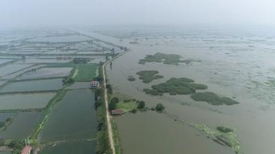 长湖超历史最高水位，已下达分洪预通知