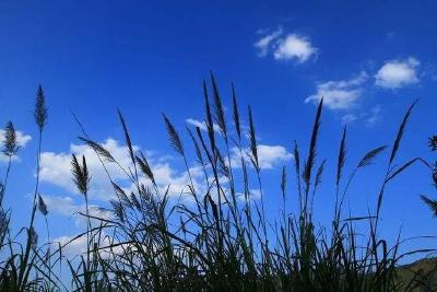 今日出伏！之后还会热吗？今夏三伏天气大盘点来了！